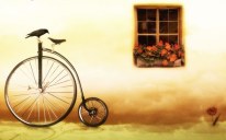 bike-and-window-17781